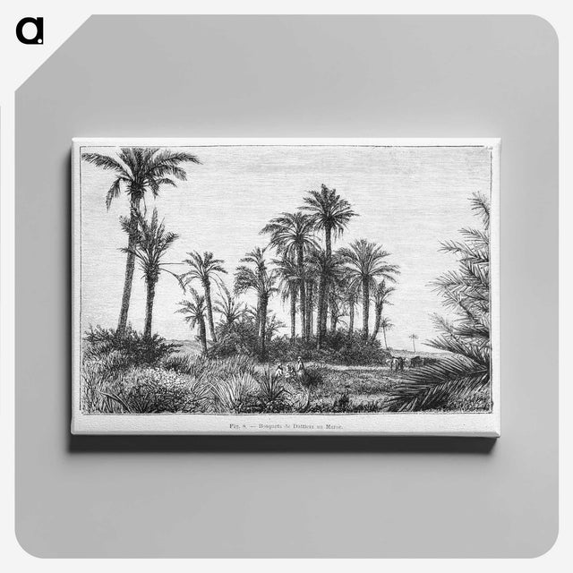 1-58_Les-Palmiers-Histoire-Iconographique_canvas
