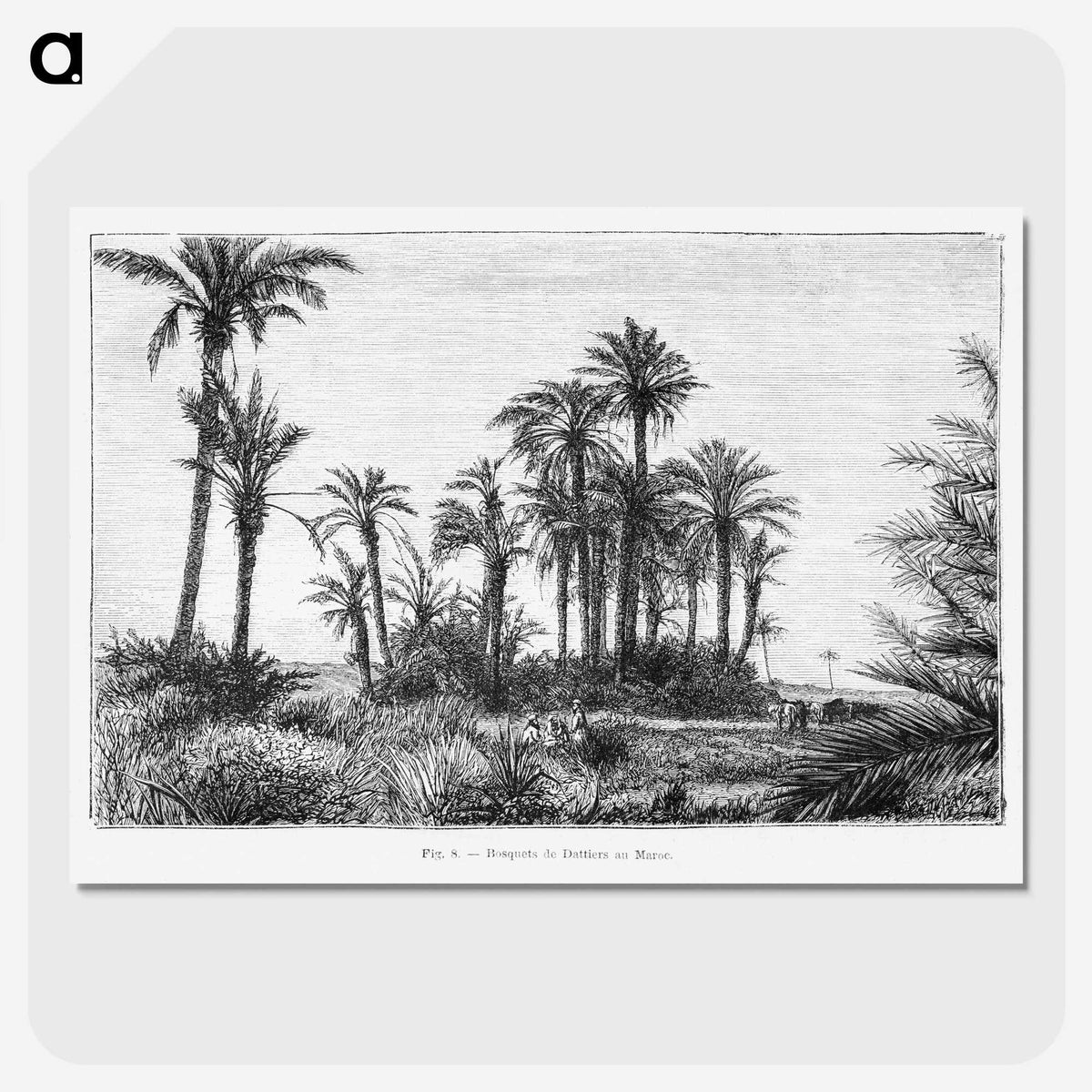 1-58_Les-Palmiers-Histoire-Iconographique_picture-crop