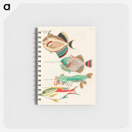 アートメモ帳-Moluccan Sea Creatures
 - ルイ ルナール Memo.