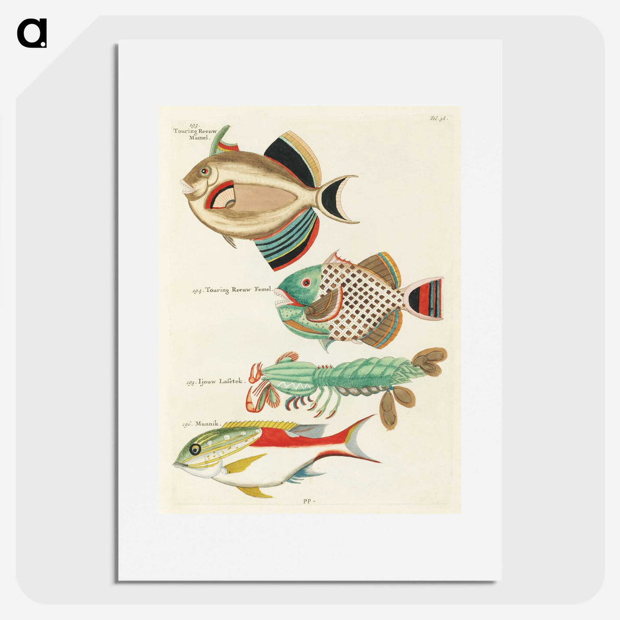 1-58_Louis-Renard_picture
