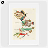 1-58_Louis-Renard_picture
