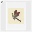 1-58_Luigi-Balugani_picture