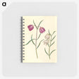 1-58_Maria-Sibylla-Merian_memo