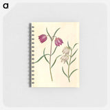 アートメモ帳-Fritillaria meleagris
 - マリア ジビーラ メーリアン Memo.