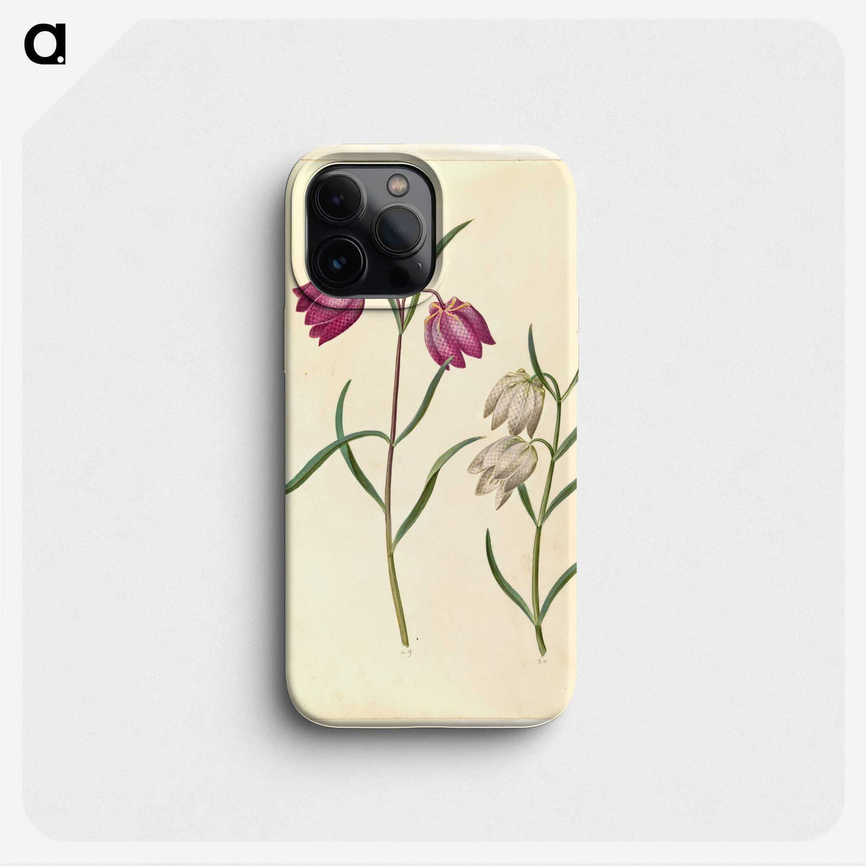 1-58_Maria-Sibylla-Merian_phone