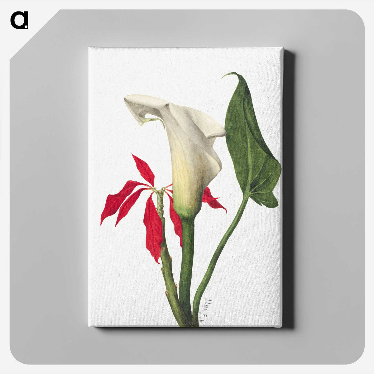 1-58_Mary-Vaux-Walcott_canvas