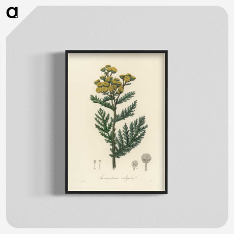 1-58_Medical-Botany_blk-crop