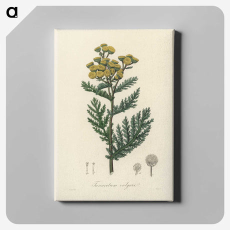 1-58_Medical-Botany_canvas