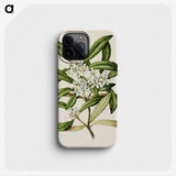 1-58_Native-Flowering-Plants-of-New-Zealand_phone