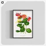 1-58_Nederlandsche-Flora-en-Pomona_blk-crop