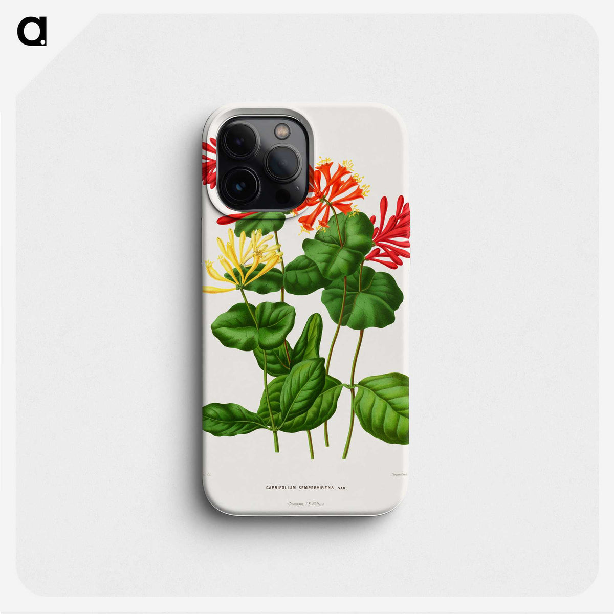 1-58_Nederlandsche-Flora-en-Pomona_phone