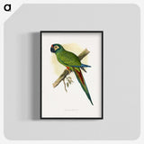 1-58_Parrots-in-Captivity_blk-crop