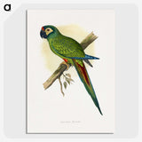 1-58_Parrots-in-Captivity_picture-crop