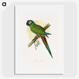 1-58_Parrots-in-Captivity_picture