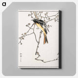 アートパネル-Siberian Blue-tail
 - 鳥類図鑑 Canvas.
