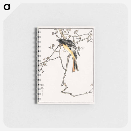 アートメモ帳-Siberian Blue-tail
 - 鳥類図鑑 Memo.