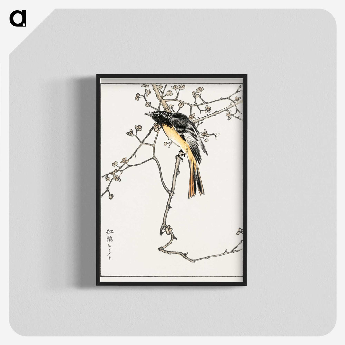 1-58_Pictorial-Monograph-of-Birds_blk-crop
