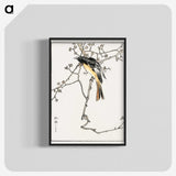 1-58_Pictorial-Monograph-of-Birds_blk-crop
