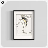 1-58_Pictorial-Monograph-of-Birds_blk