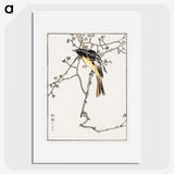 1-58_Pictorial-Monograph-of-Birds_picture