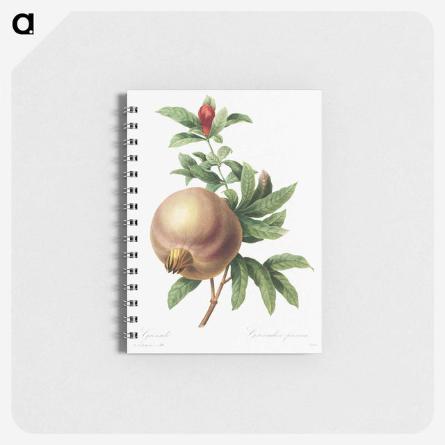 1-58_Pierre-Joseph-Redoute_memo
