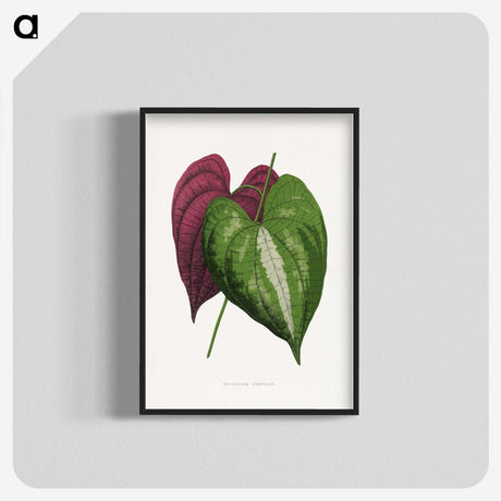 1-58_Plants-with-Colored-Foliage_blk-crop