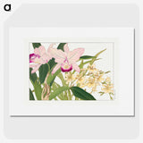 1-58_Seiyo-Soka-Zufu_picture