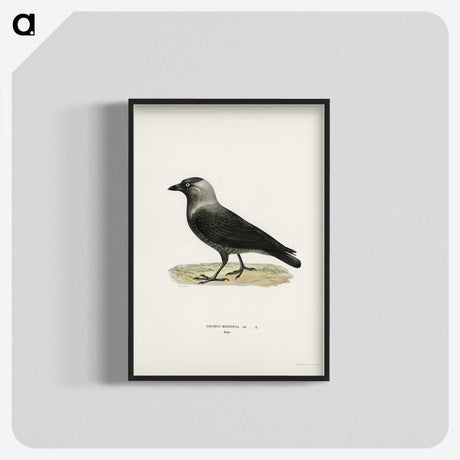 1-58_Svenska-Faglar_blk-crop