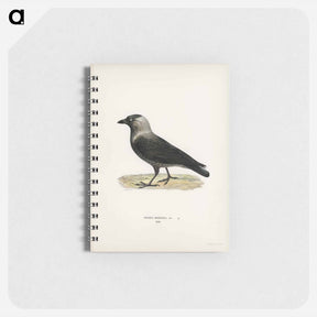 アートメモ帳-Western Jackdaw
 - スヴェンスカ フォグラル Memo.