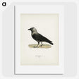 1-58_Svenska-Faglar_picture