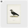 1-58_Svenska-Faglar_postcard