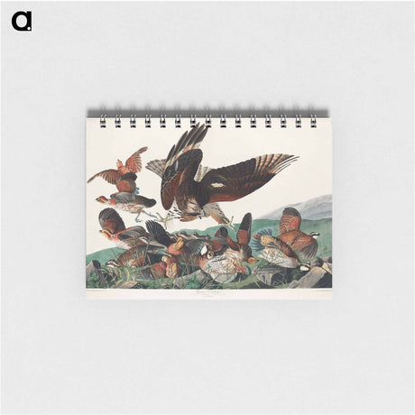 アートメモ帳-Virginian Partridge from Birds of America
 - アメリカの鳥たち Memo.