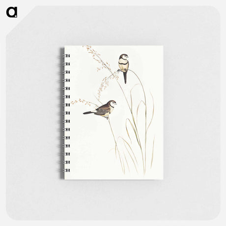 アートメモ帳-Bicheno's Finch
 - オーストラリアの鳥 Memo.