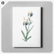 1-58_The-Lilies_canvas