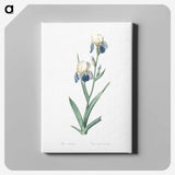 1-58_The-Lilies_canvas