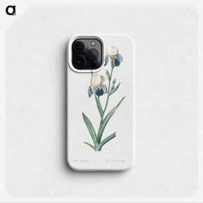 1-58_The-Lilies_phone