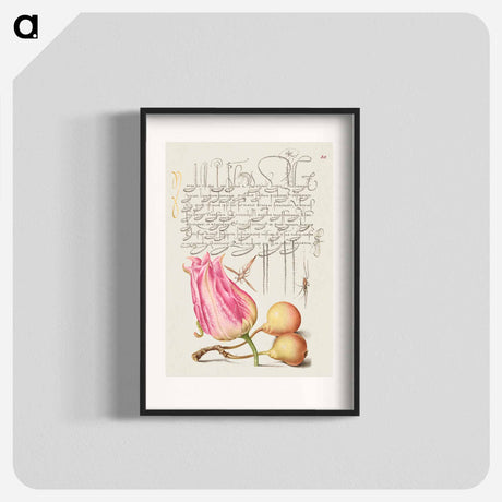アートポスター-Imaginary Insect, Tulip, Spider, and Common Pear
 - 書道のお手本 Poster.