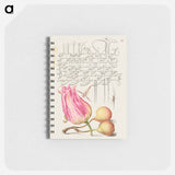 アートメモ帳-Imaginary Insect, Tulip, Spider, and Common Pear
 - 書道のお手本 Memo.