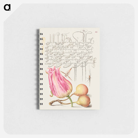 アートメモ帳-Imaginary Insect, Tulip, Spider, and Common Pear
 - 書道のお手本 Memo.