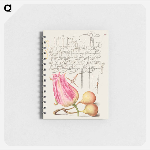 アートメモ帳-Imaginary Insect, Tulip, Spider, and Common Pear
 - 書道のお手本 Memo.