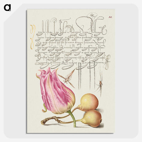 1-58_The-Model-Book-of-Calligraphy_picture-crop
