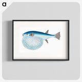 1-58_The-Natural-History-of-British-Fishes_blk