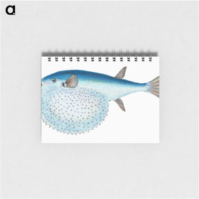 1-58_The-Natural-History-of-British-Fishes_memo