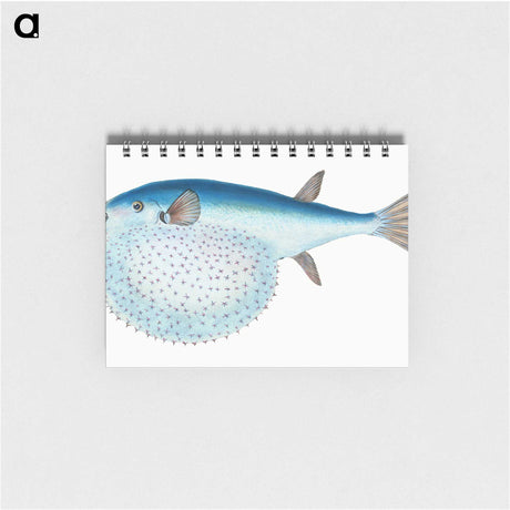 1-58_The-Natural-History-of-British-Fishes_memo