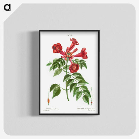 1-58_Treatise-on-Trees-and-Shrubs_blk-crop
