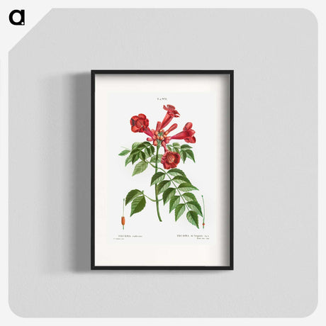1-58_Treatise-on-Trees-and-Shrubs_blk