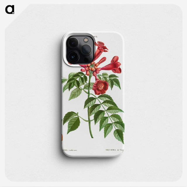 1-58_Treatise-on-Trees-and-Shrubs_phone