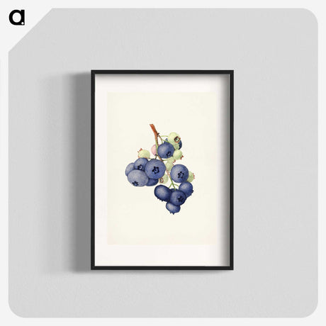 1-58_USDA-Watercolor-Fruit-Painting-Collection_blk