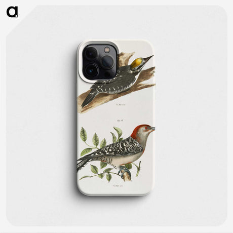 1-58_Zoology-of-New-York_phone