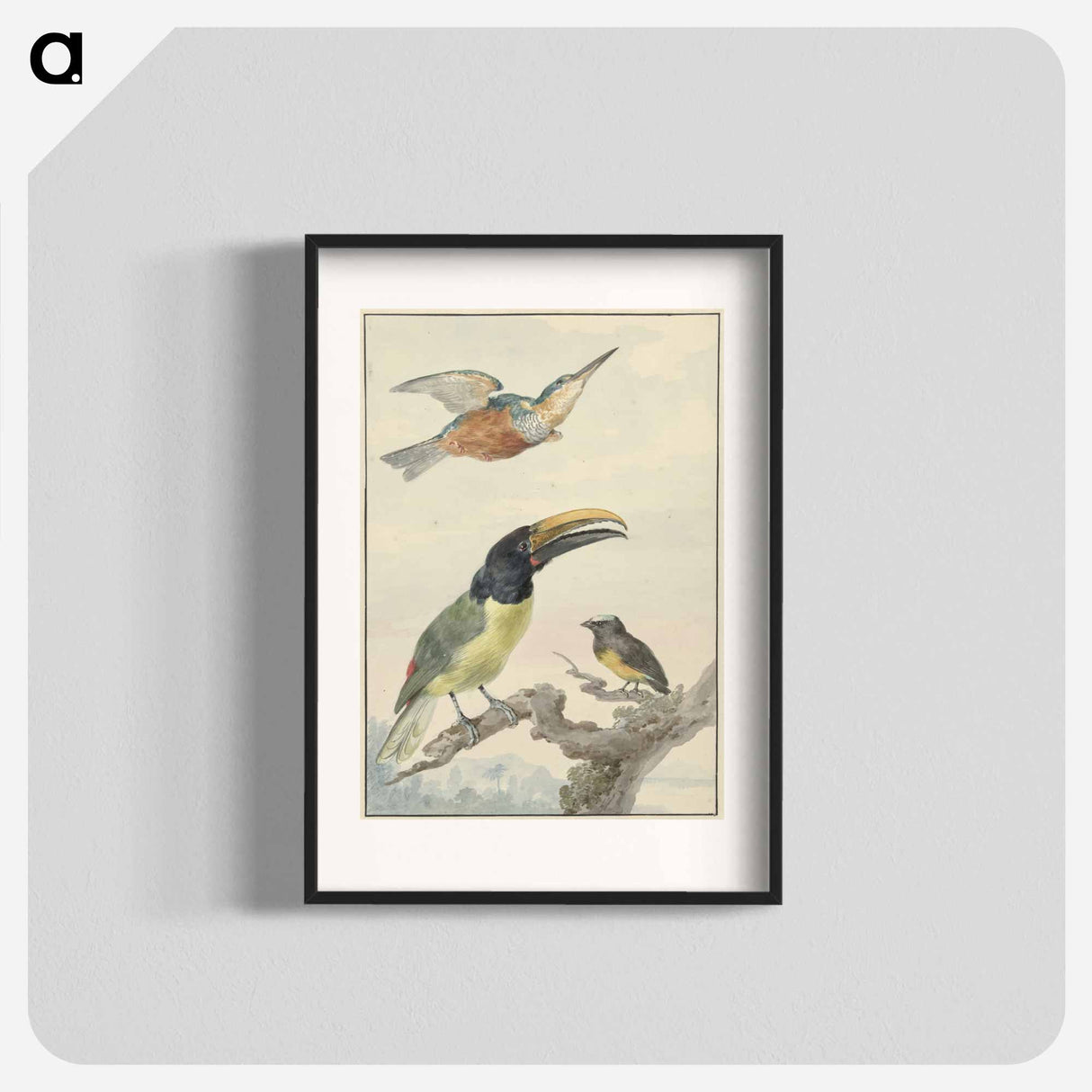 Drie vogels: een IJsvogel, een Prins von Wied's Toekan en een Organist - アールト シューマン Poster.